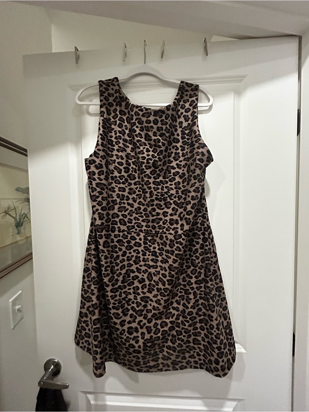 Persona Leopard Print Fit-and-Flare Mini Dress - Brown/Black